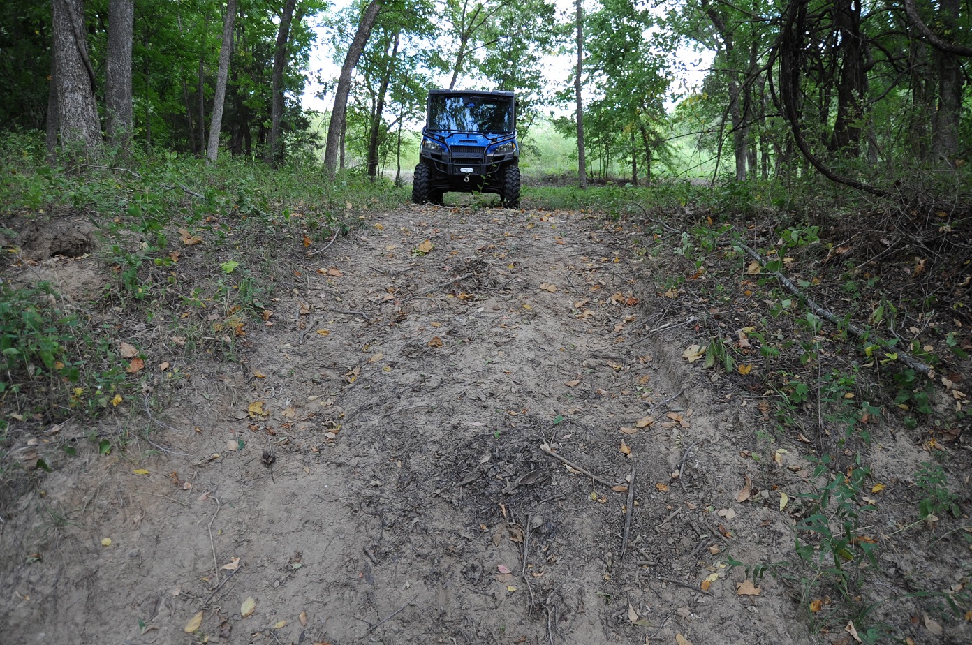 03 west orchard 1.JPG