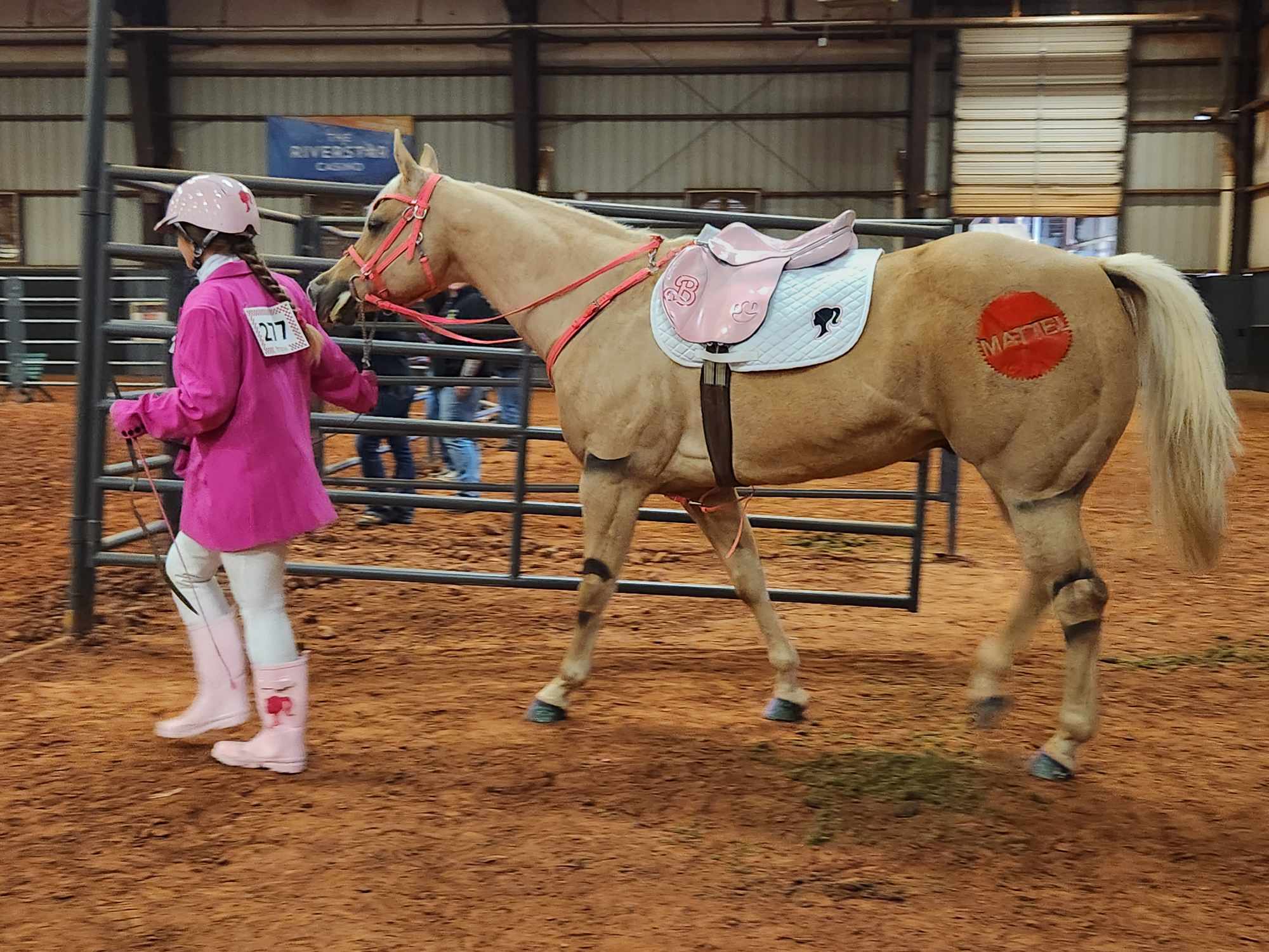 granddaughter was barbie and her horse.jpeg