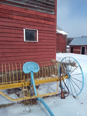 IMG_20170204_114006.jpg