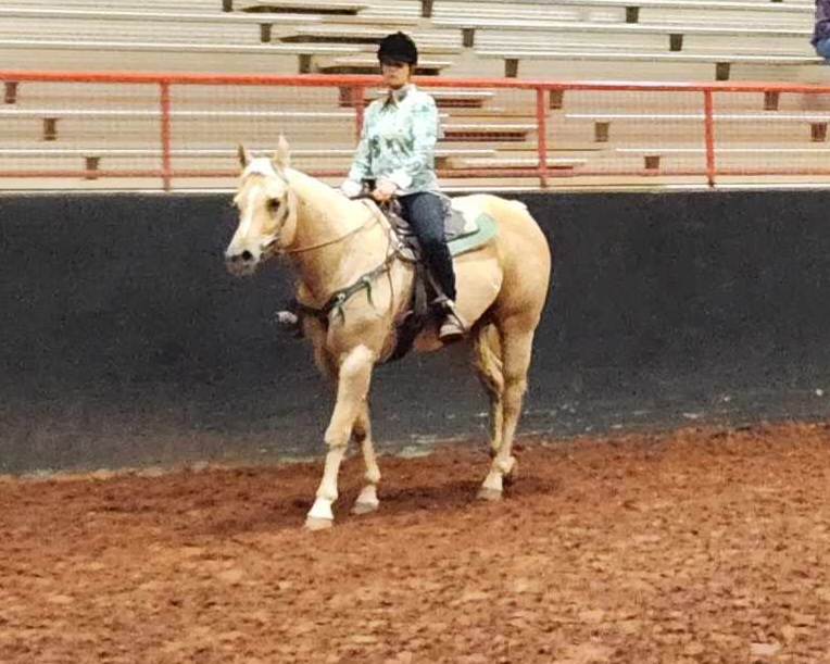 showing friend's horse.jpeg