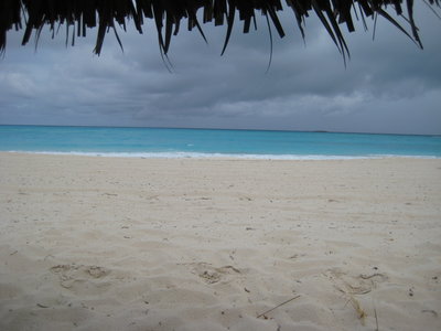 IMG_0566.JPG