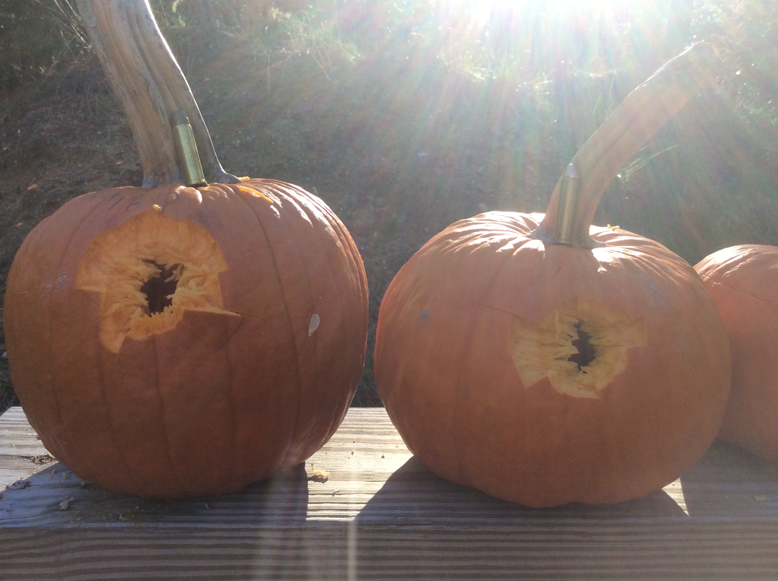 357  180 Pug hard cast hit on left vs. 125 XTP on right