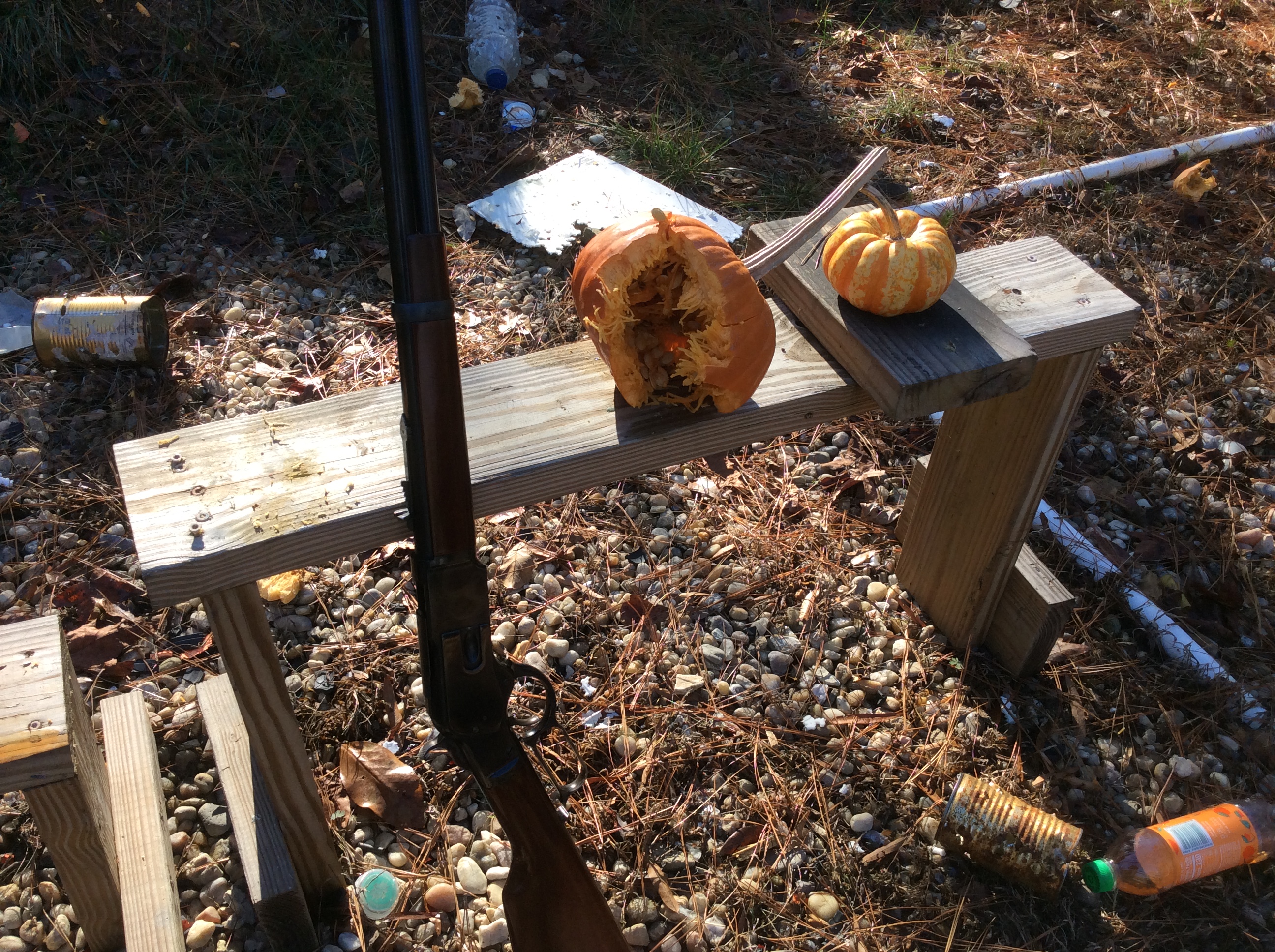 Big chunk missing after 44 Mag 180 XTP hit