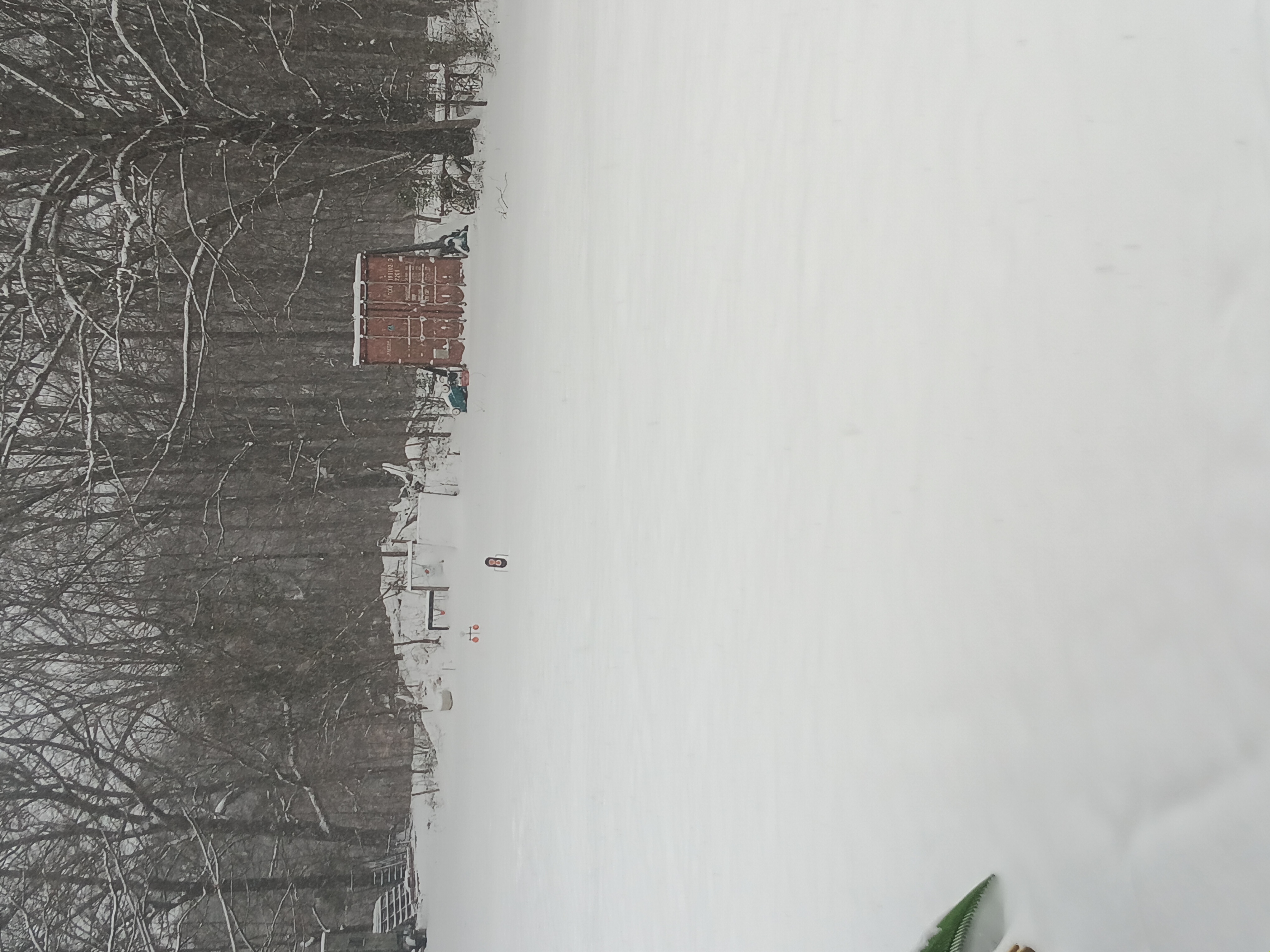 20240115_075629.jpg