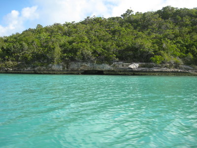 IMG_0594.JPG