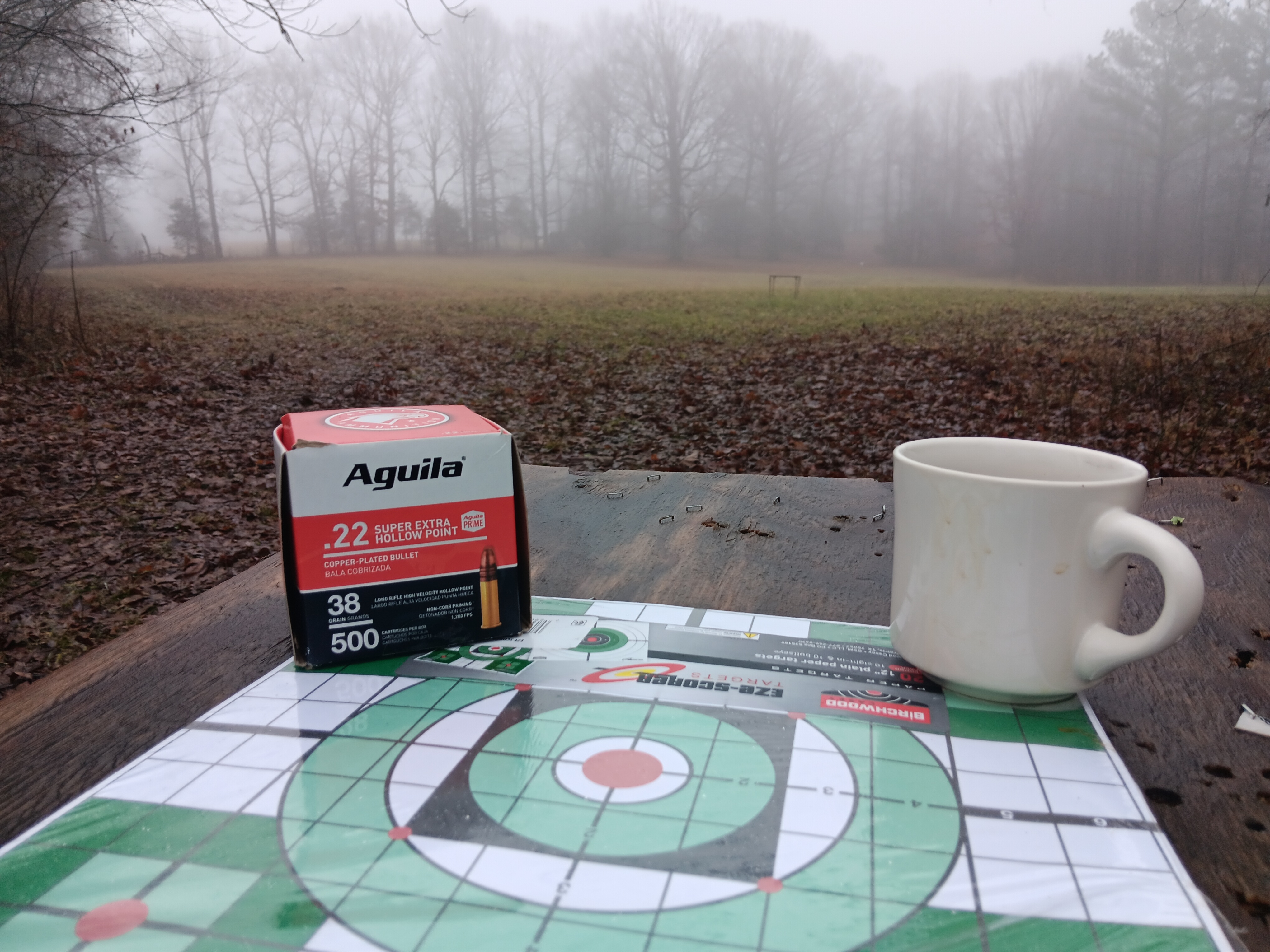 20240125_082207.jpg