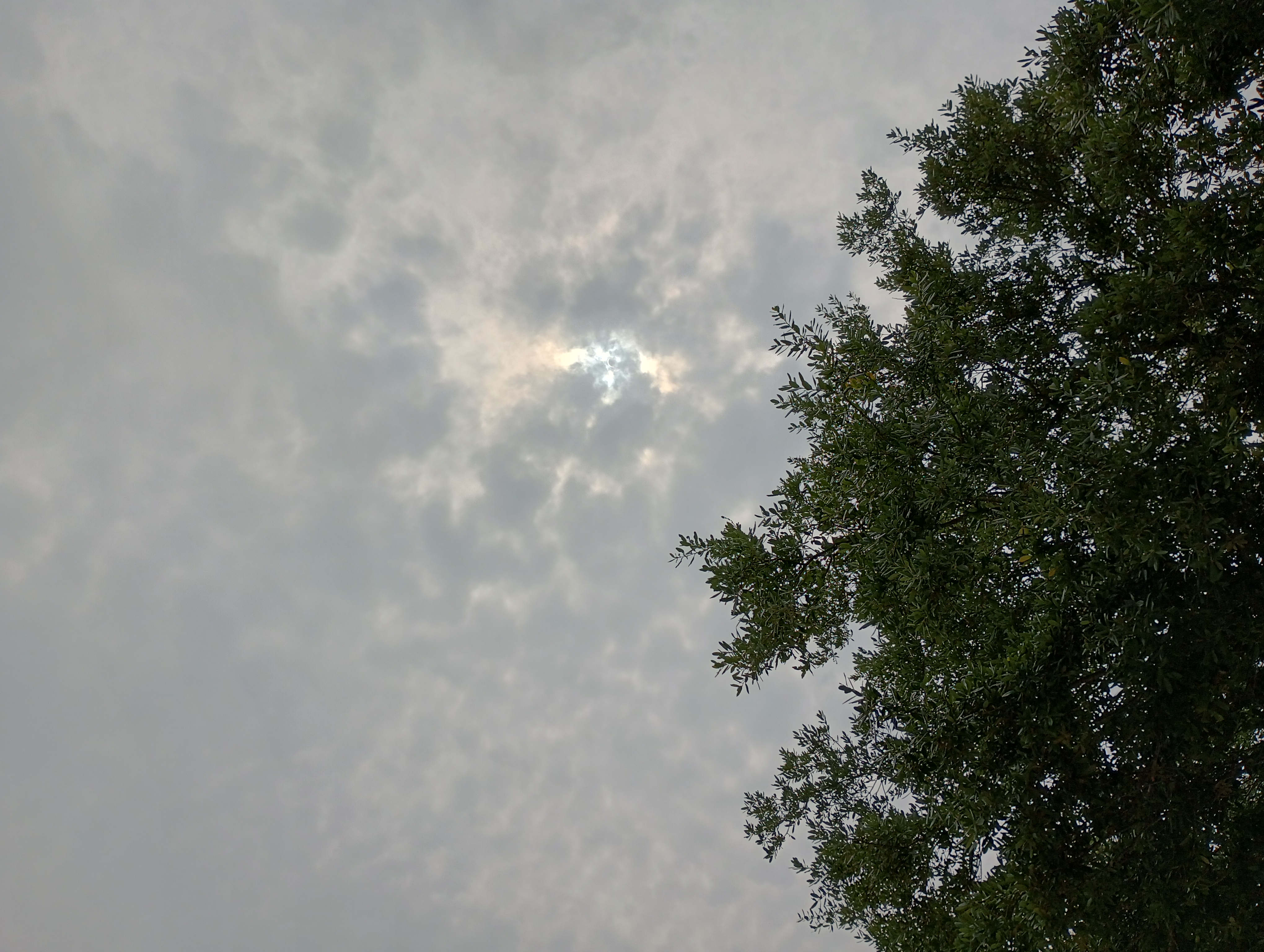 IMG_20240408_133939118_HDR.jpg