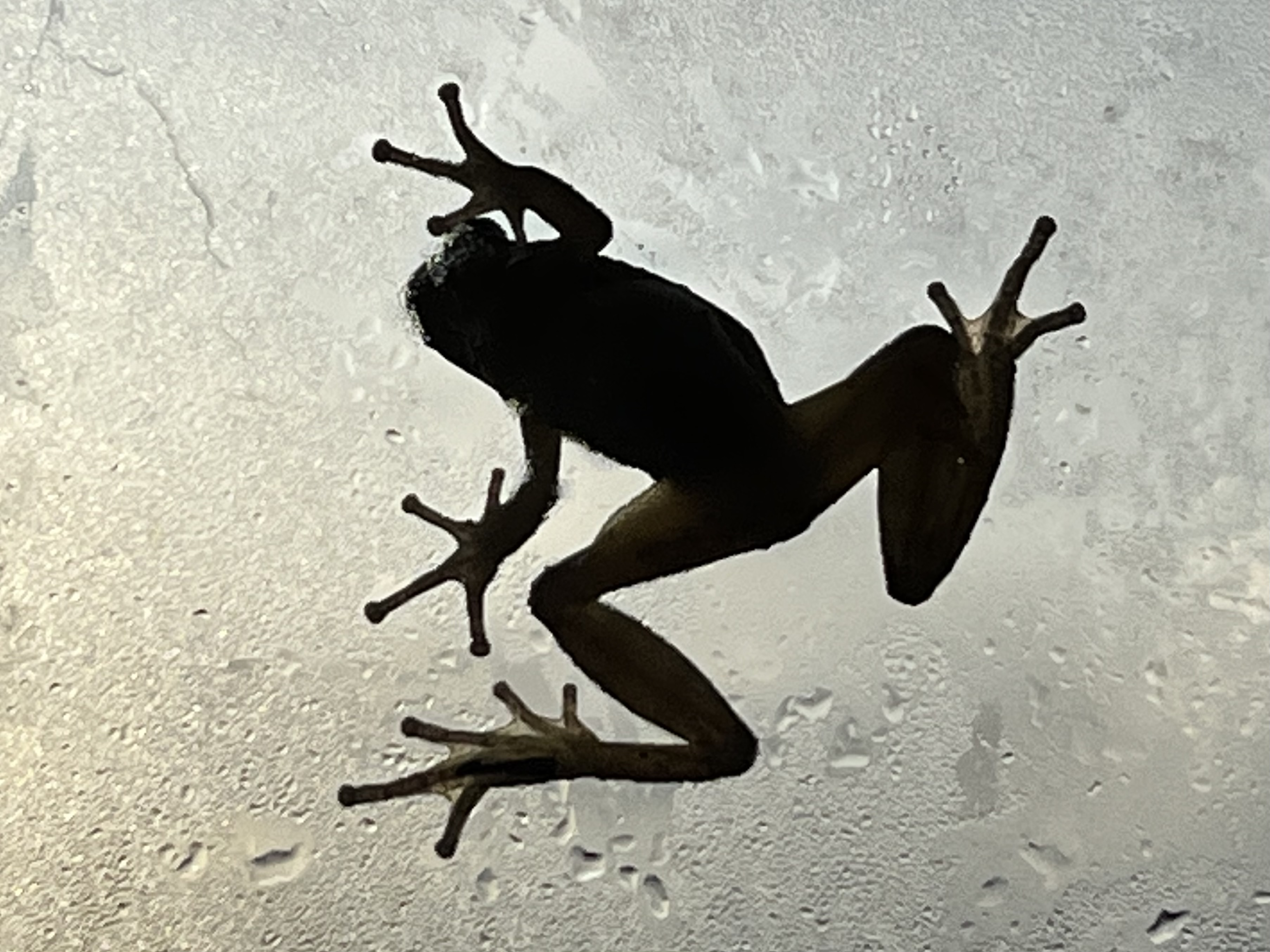 623C1878-9A4A-4DBB-A8E0-67F179F57B52.jpeg