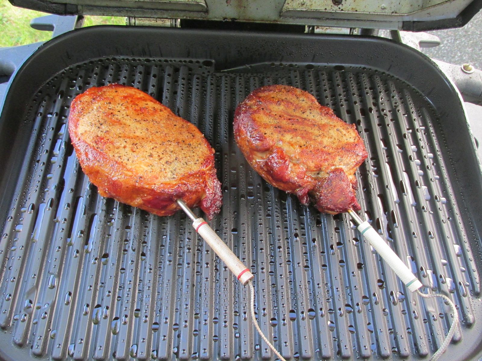 240626 001 smoked in Estelline 001.jpg