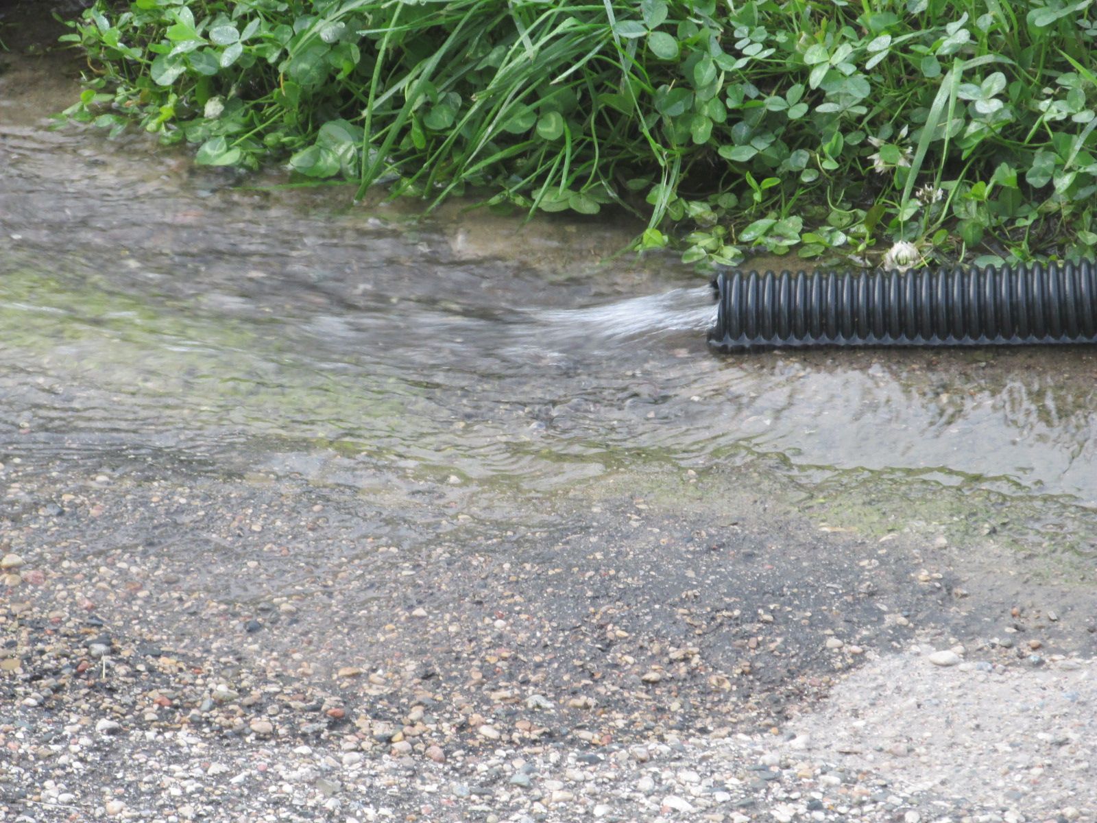 240707 002 sump 001.jpg
