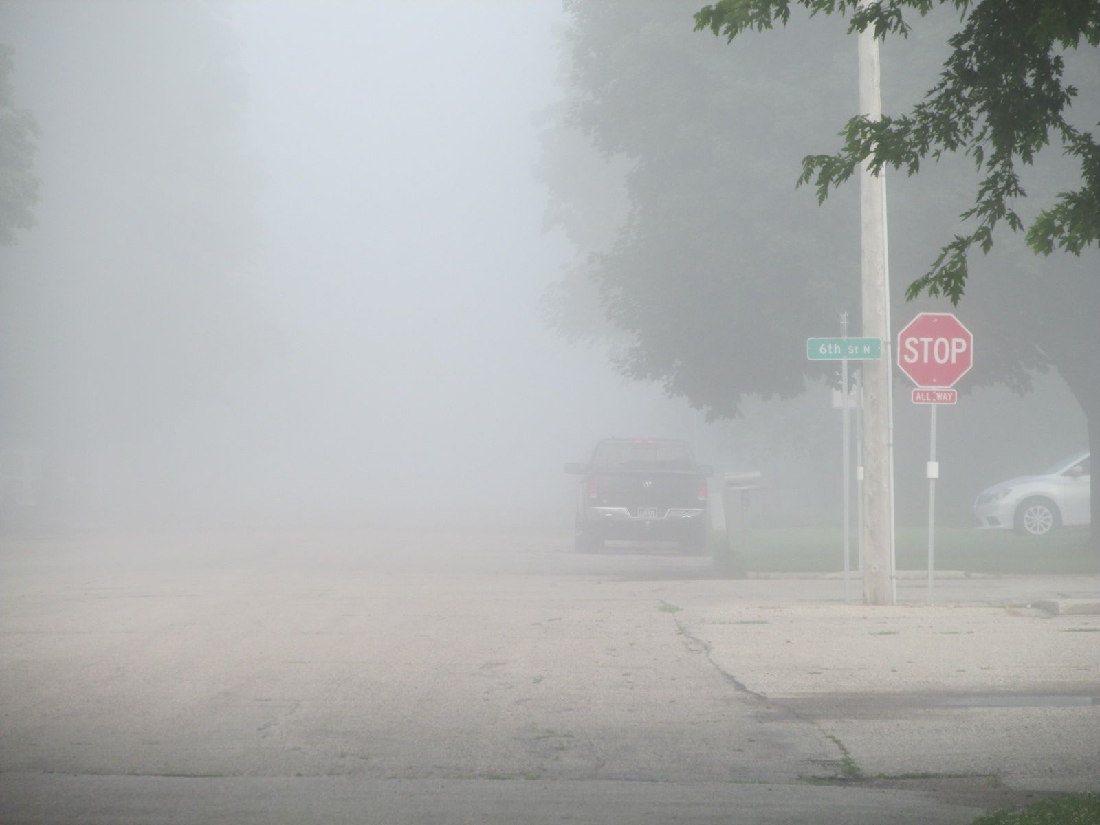 240707 001foggy morning 002.jpg