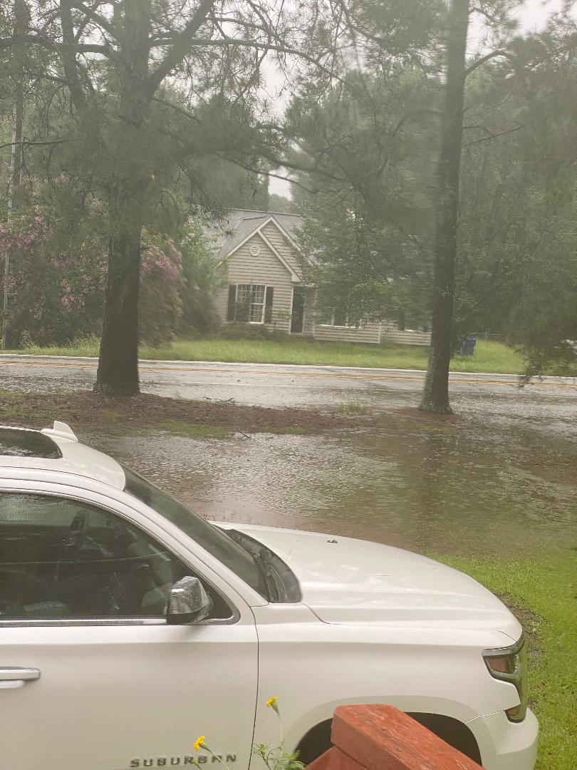 240808 001 standing water 001.jpg