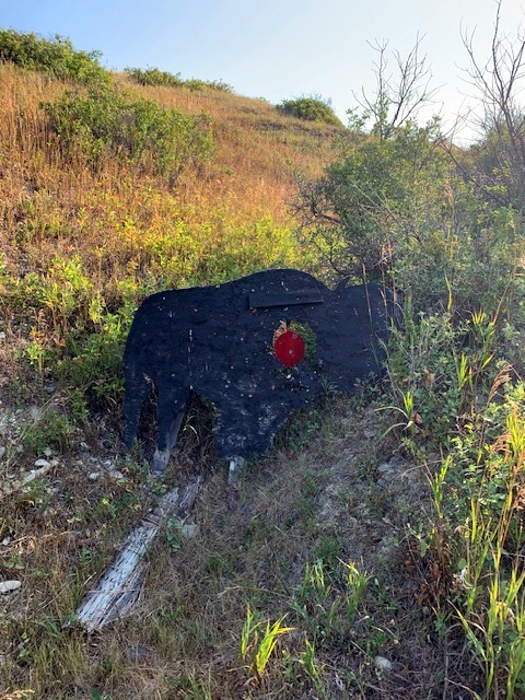 Aug 11th 130 yd Buffalo.jpg
