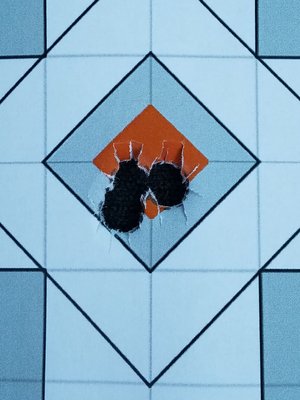 IMG_20170305_074319.jpg