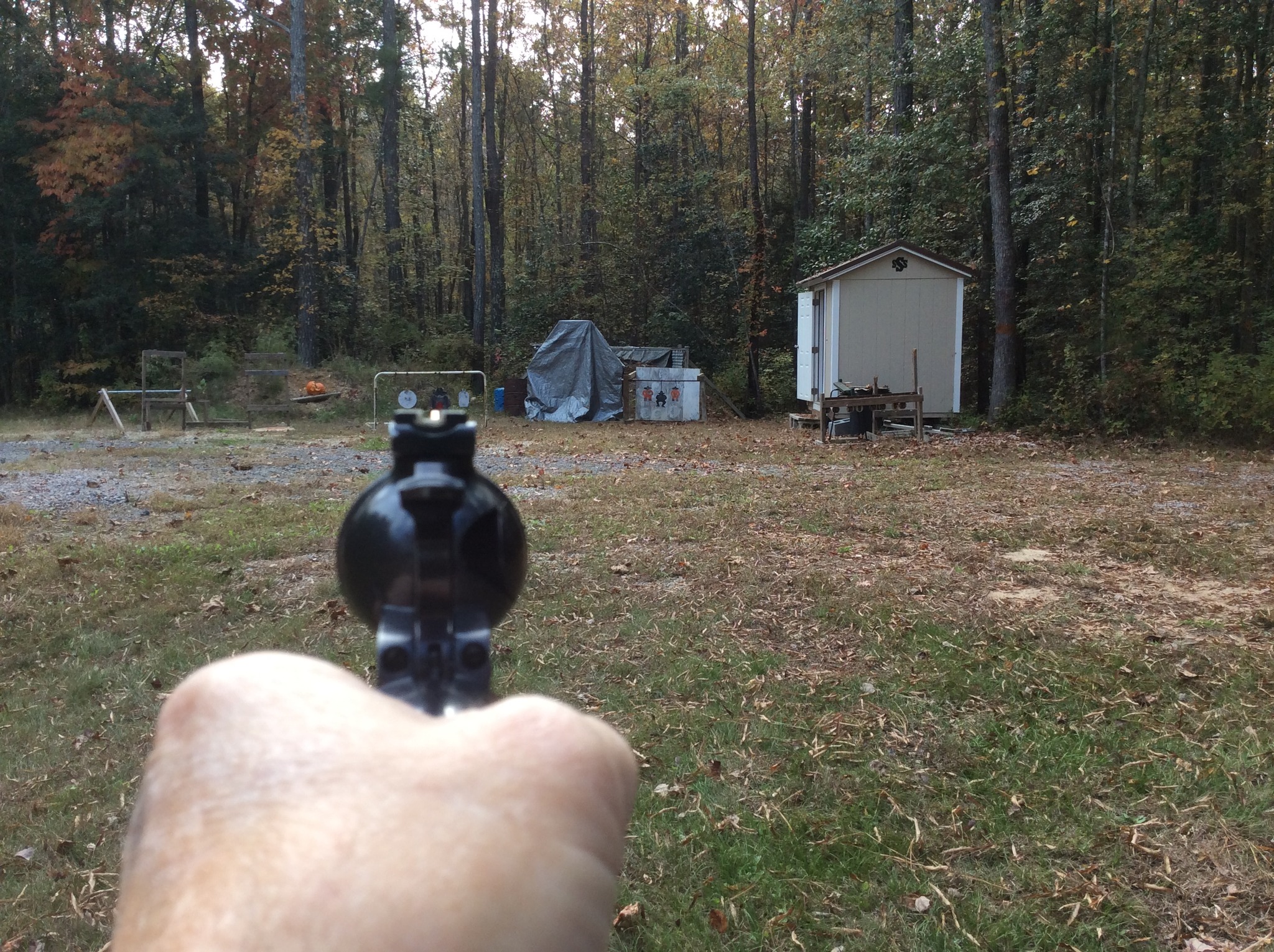 lining up sights of Ruger SB 44 Mag.jpg