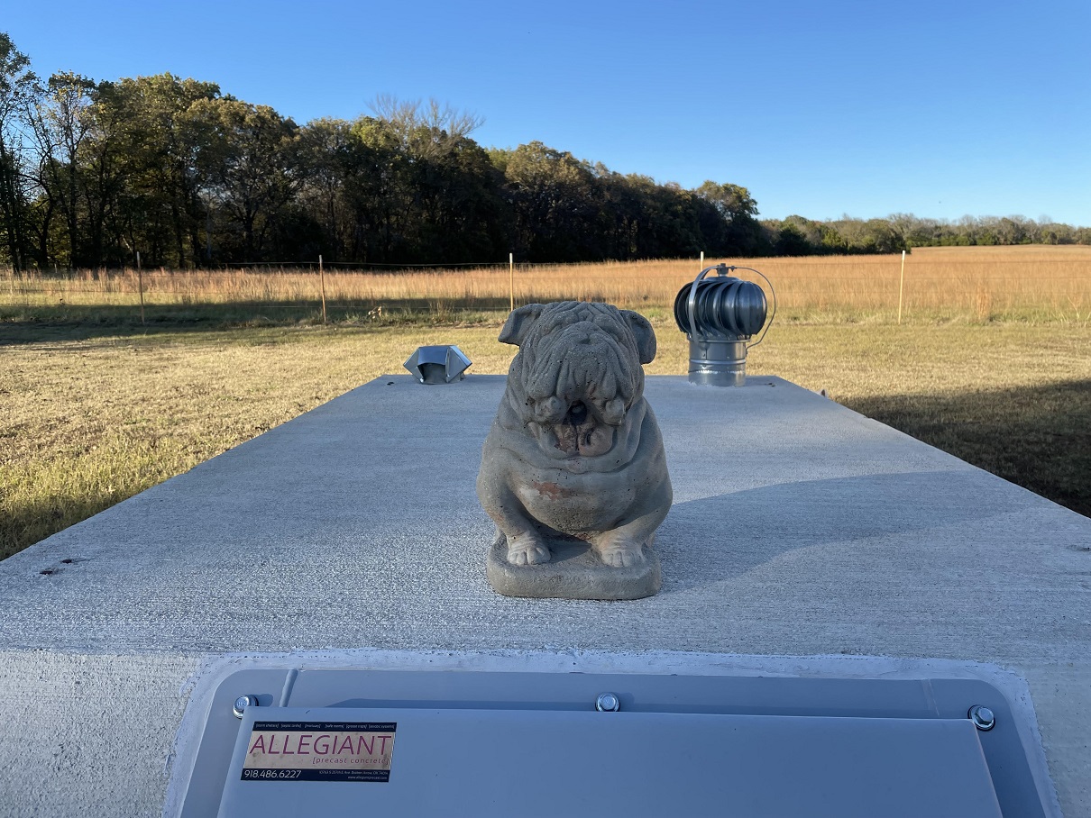 concrete bulldog gargoyle guards things.jpg