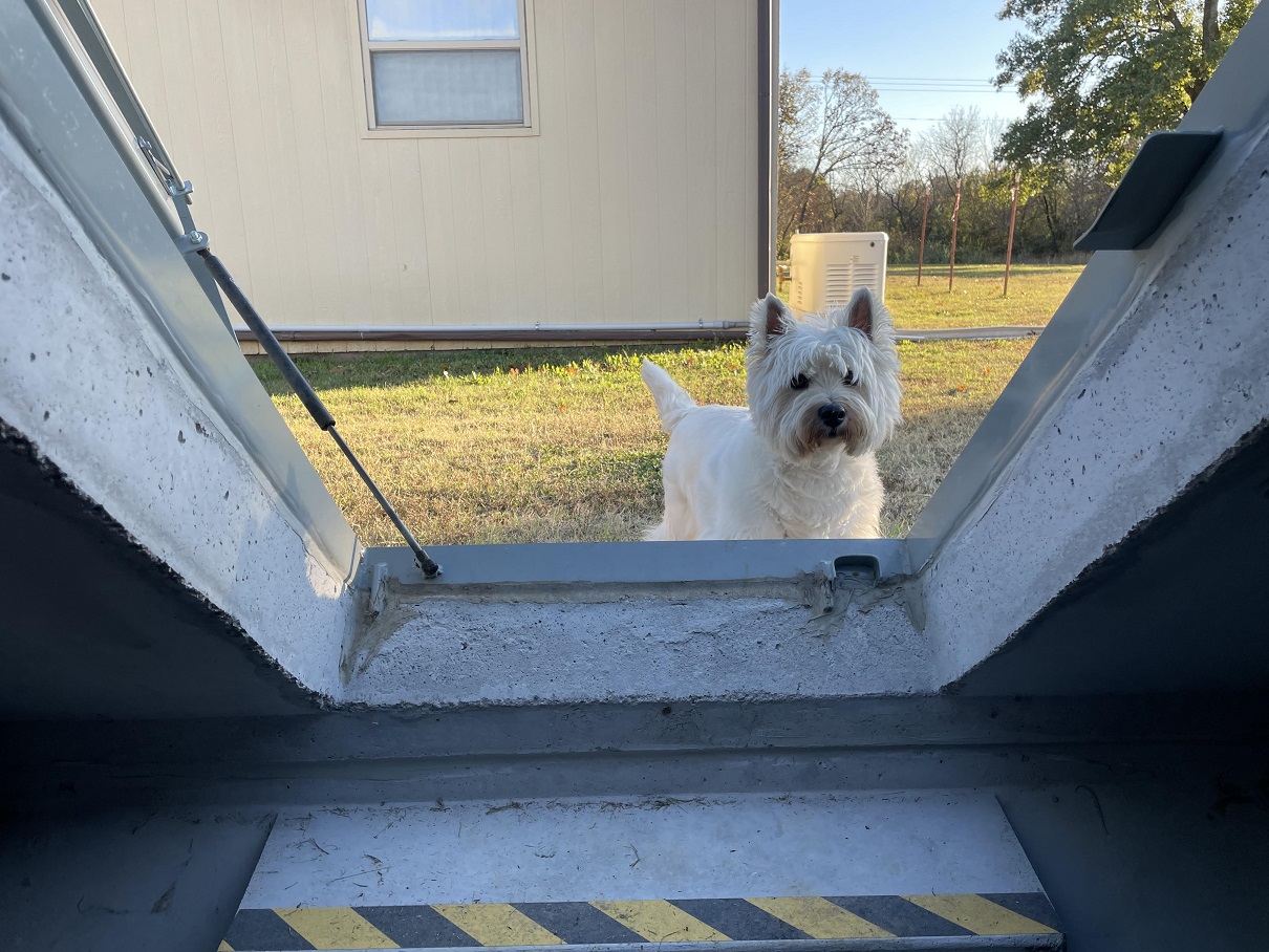fiona supervises.jpg