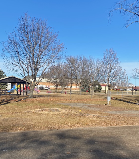 241108 001 damaged tree gone 001.jpg