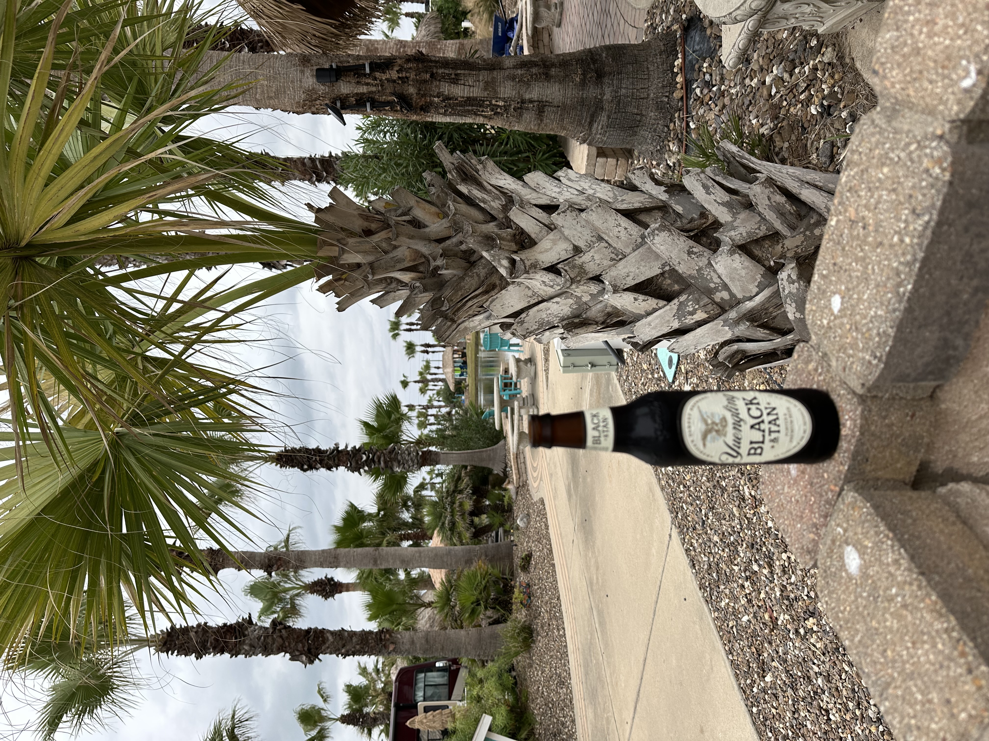 IMG_0358.jpeg