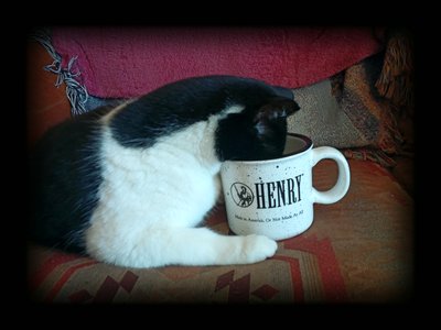 Ranch Roper's Cat.jpg