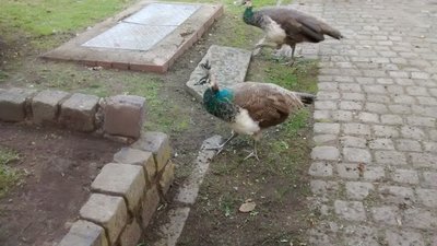 IMG_20161005_100211471.jpg
