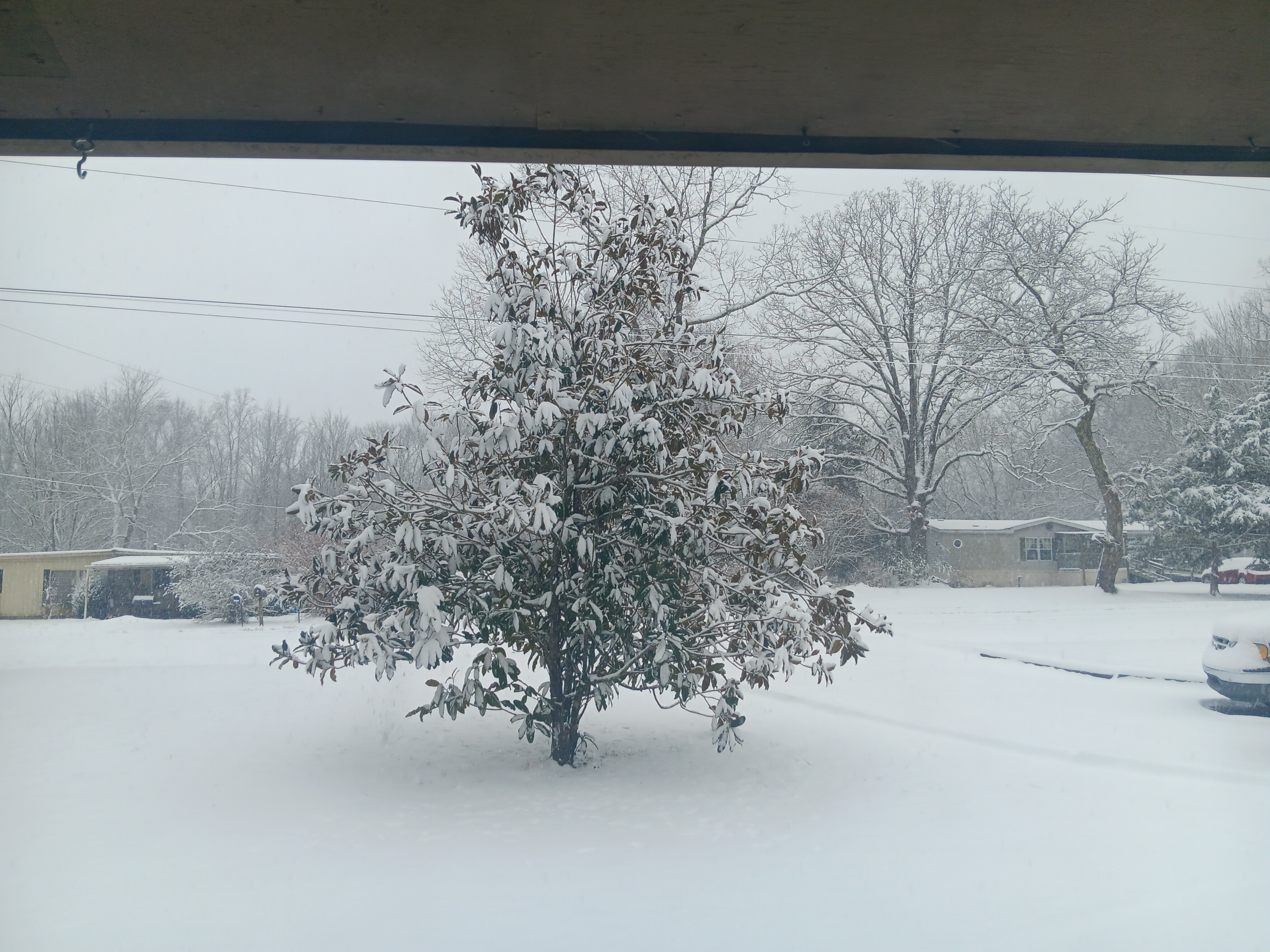 20250110_092053.jpg