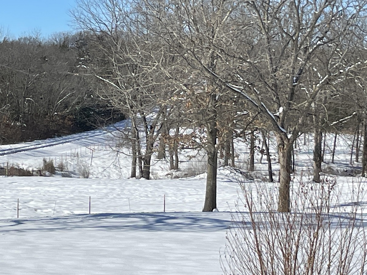 jan 11 day shot from porch.jpg