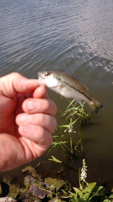 IMG_20160809_151508287.jpg