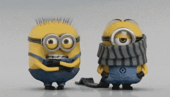 IMG_3688.gif