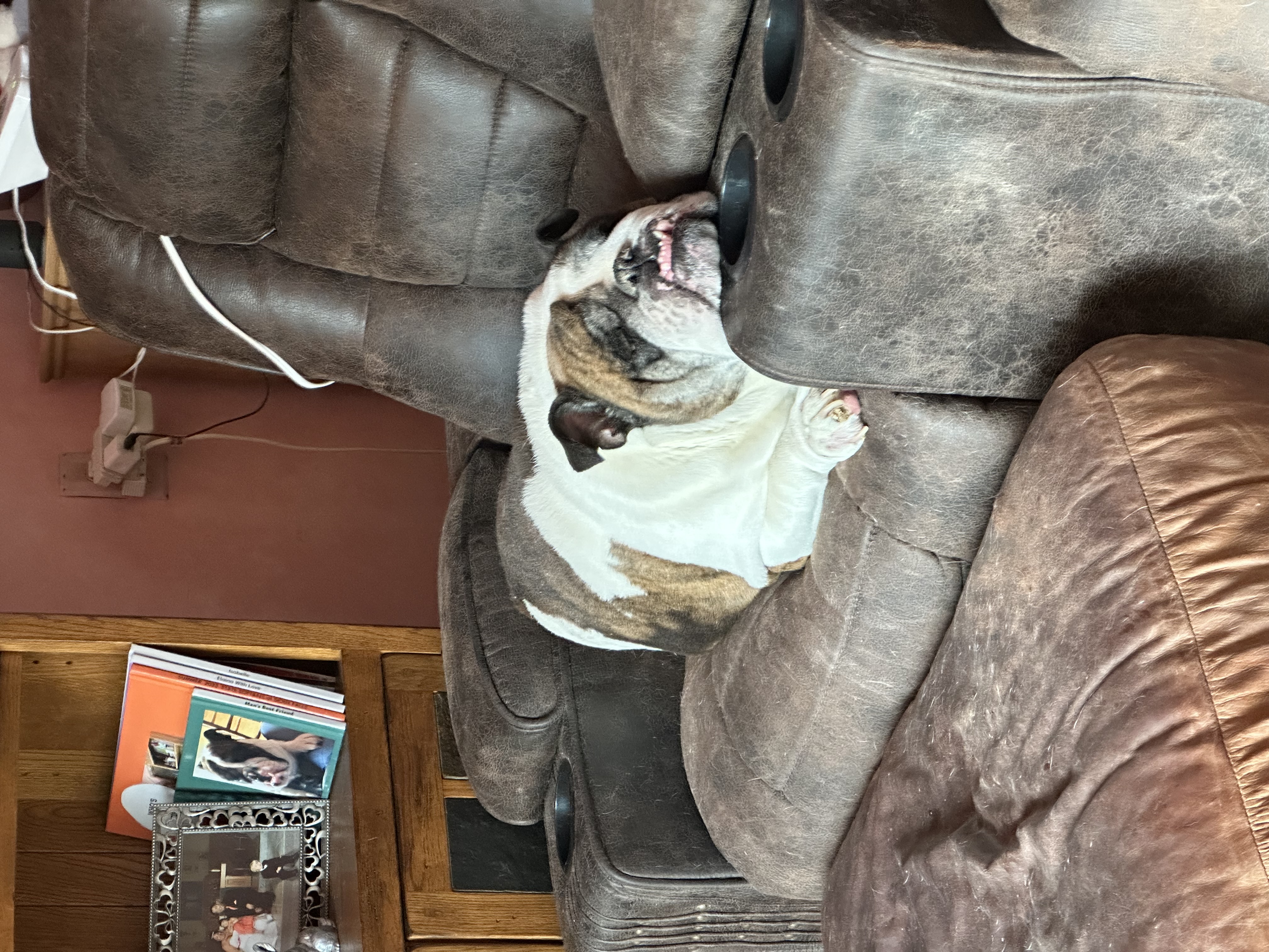 IMG_3702.jpeg