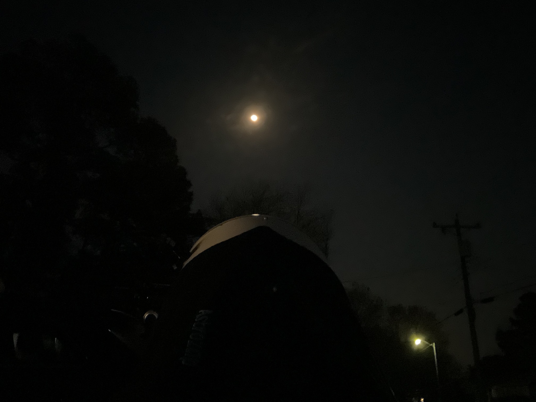 the moon tonight on 3 11 25.jpg