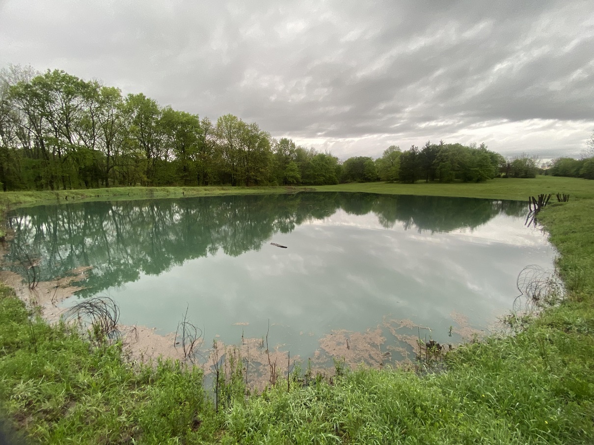 05a pond has filled.jpg