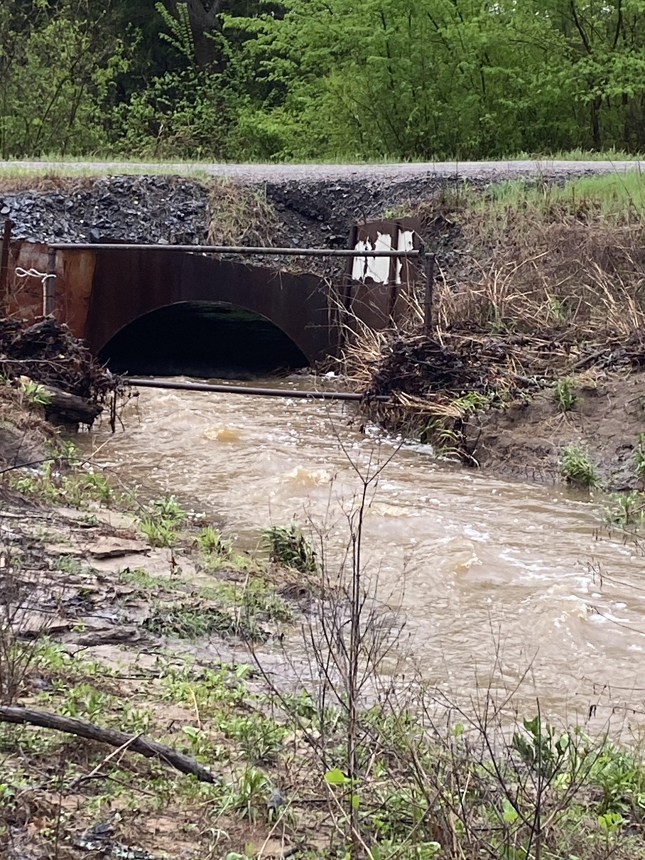 03a culvert flow.jpg
