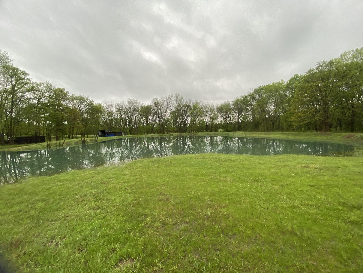 06a wide view of pond full.jpg