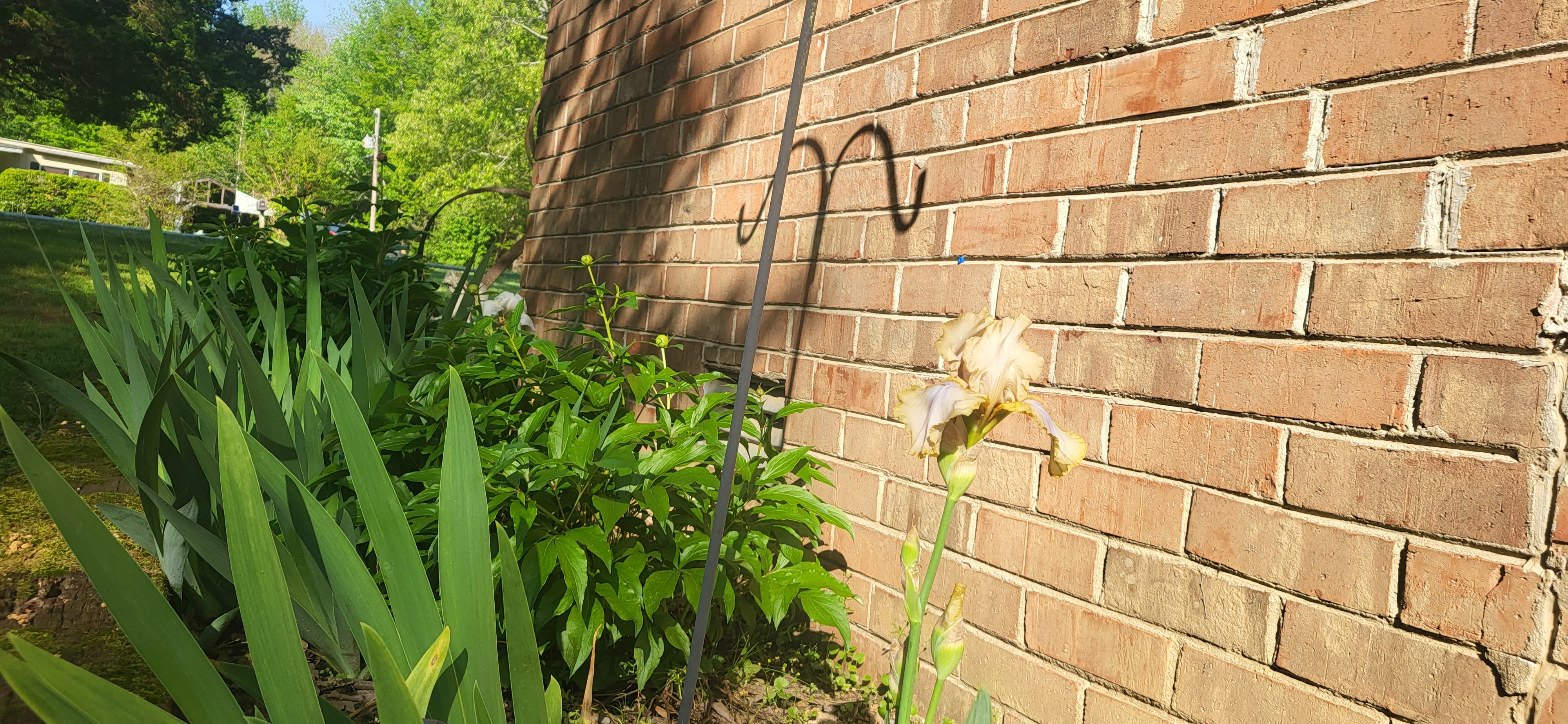 20250422_084507.jpg