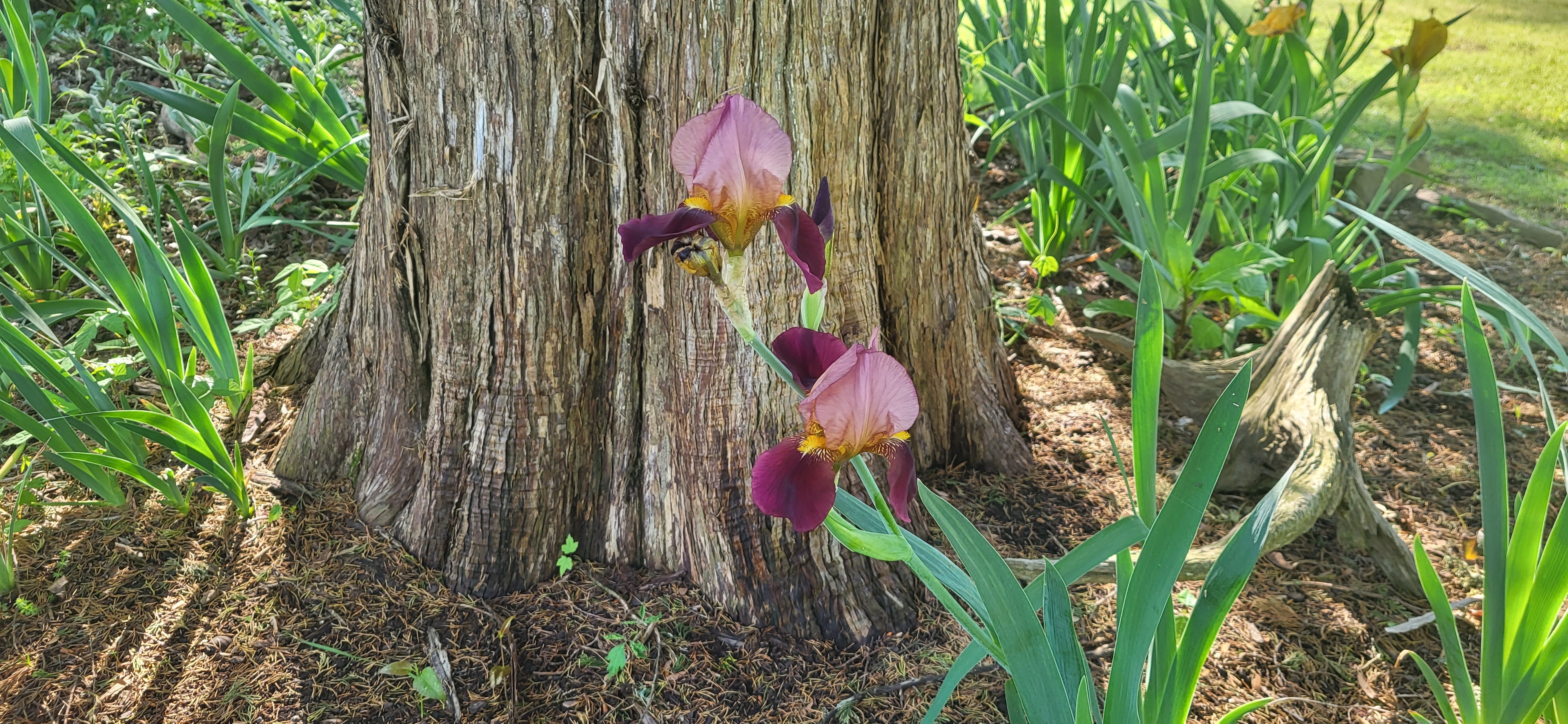 20250422_084613.jpg