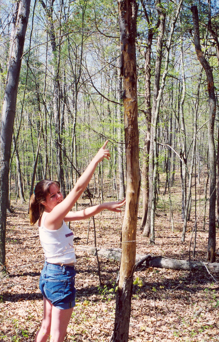 scan0023.jpg