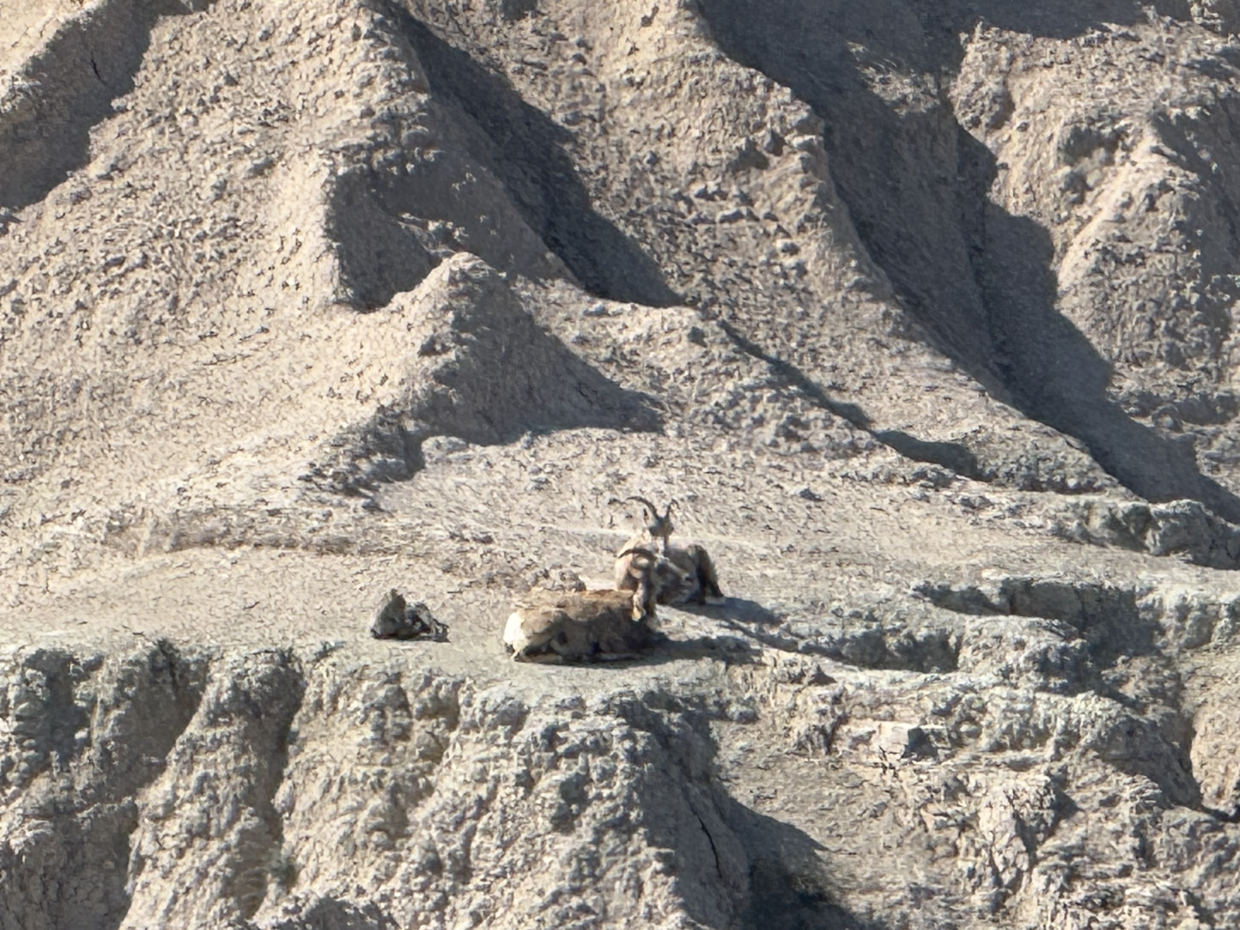 IMG_0187.jpeg