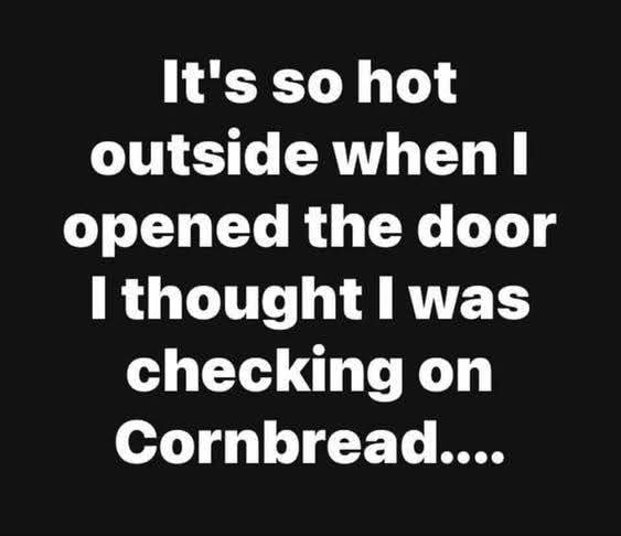 FB_IMG_1750623780782.jpg