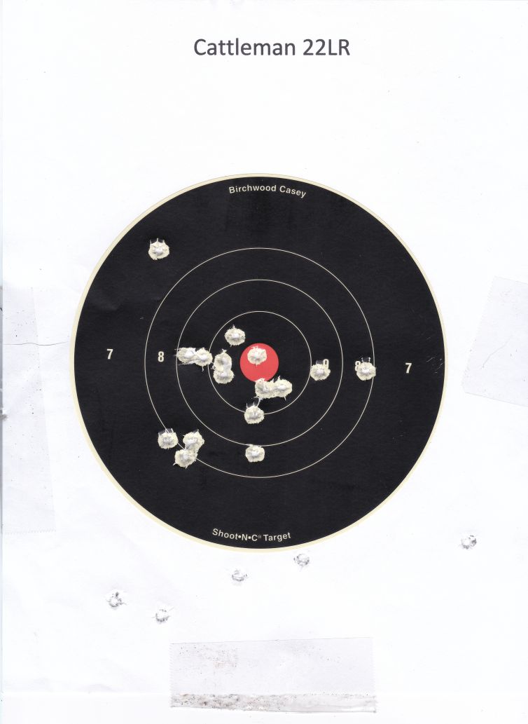 Target Cattleman 10 Yards 22LR.jpg