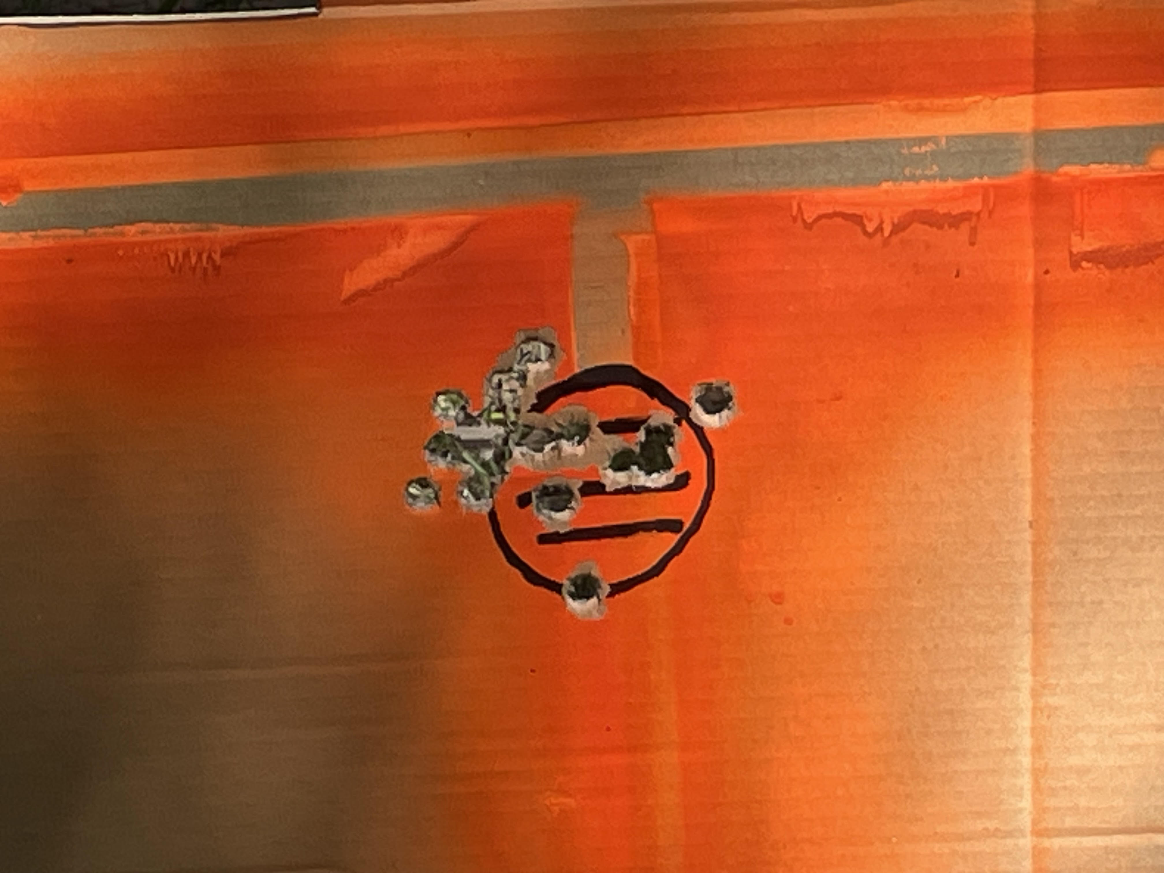 07 20 Anaconda.jpg
