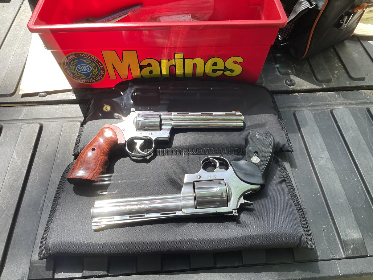 02 Colt Snakes.jpg