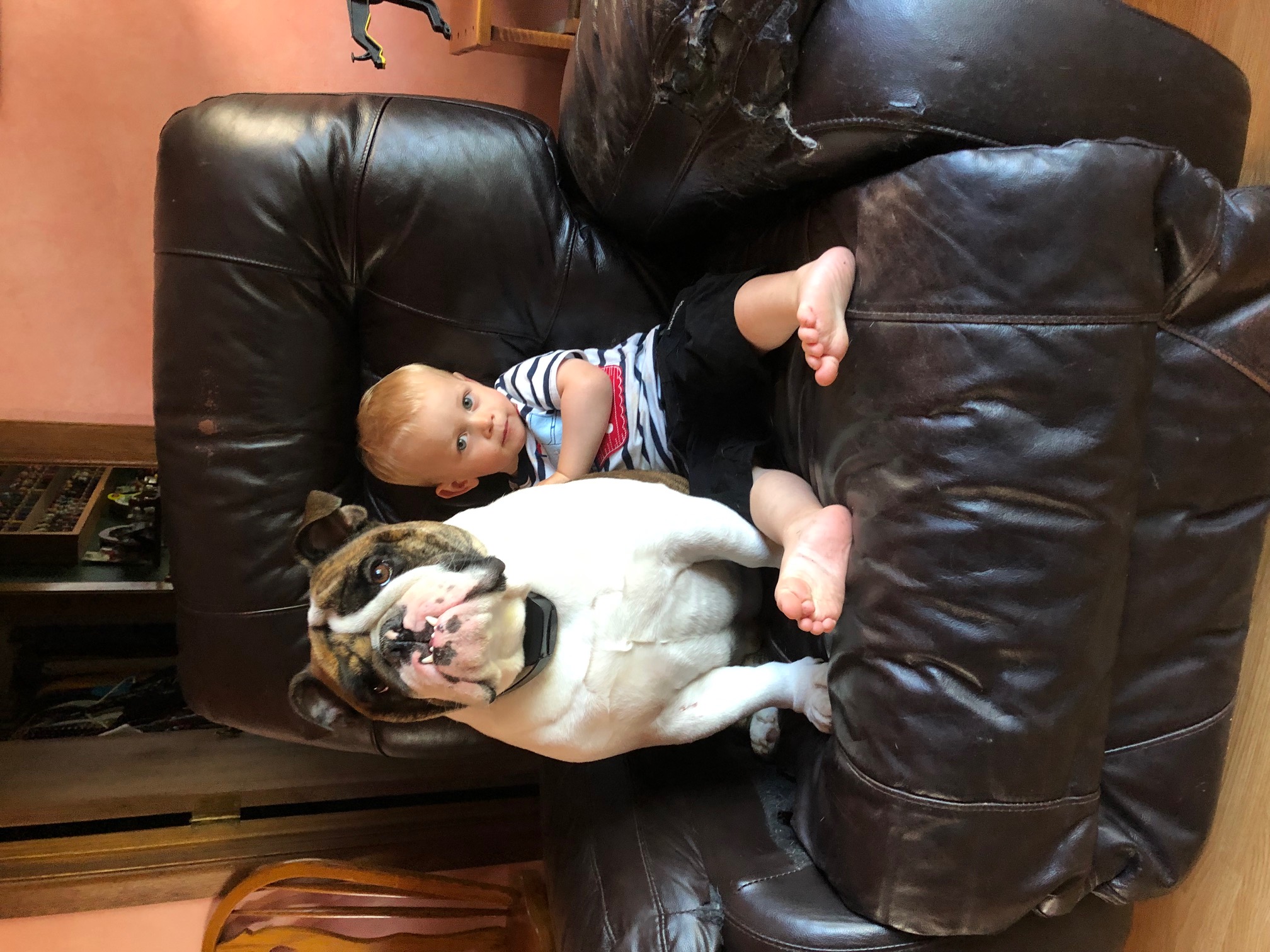 image8.jpeg