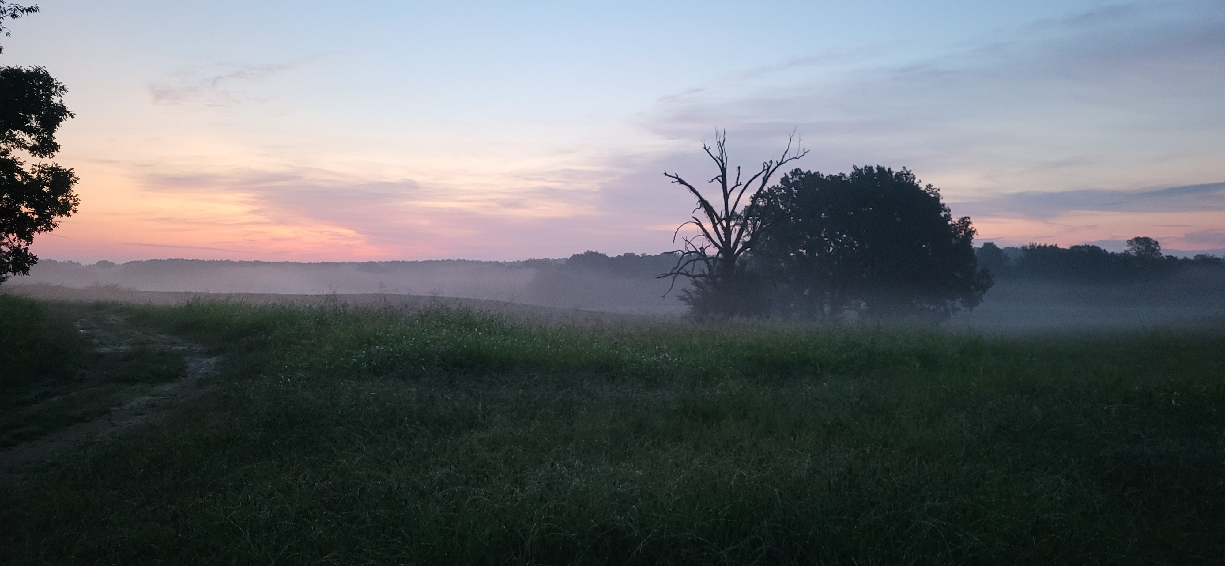 20250814_054919.jpg
