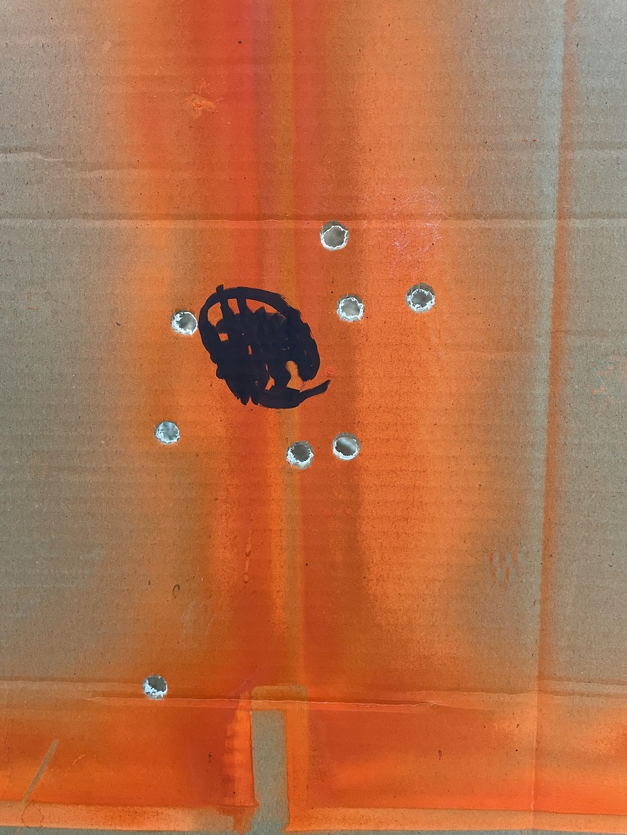 aug 20th 44 mag 9rds10 yards.jpg