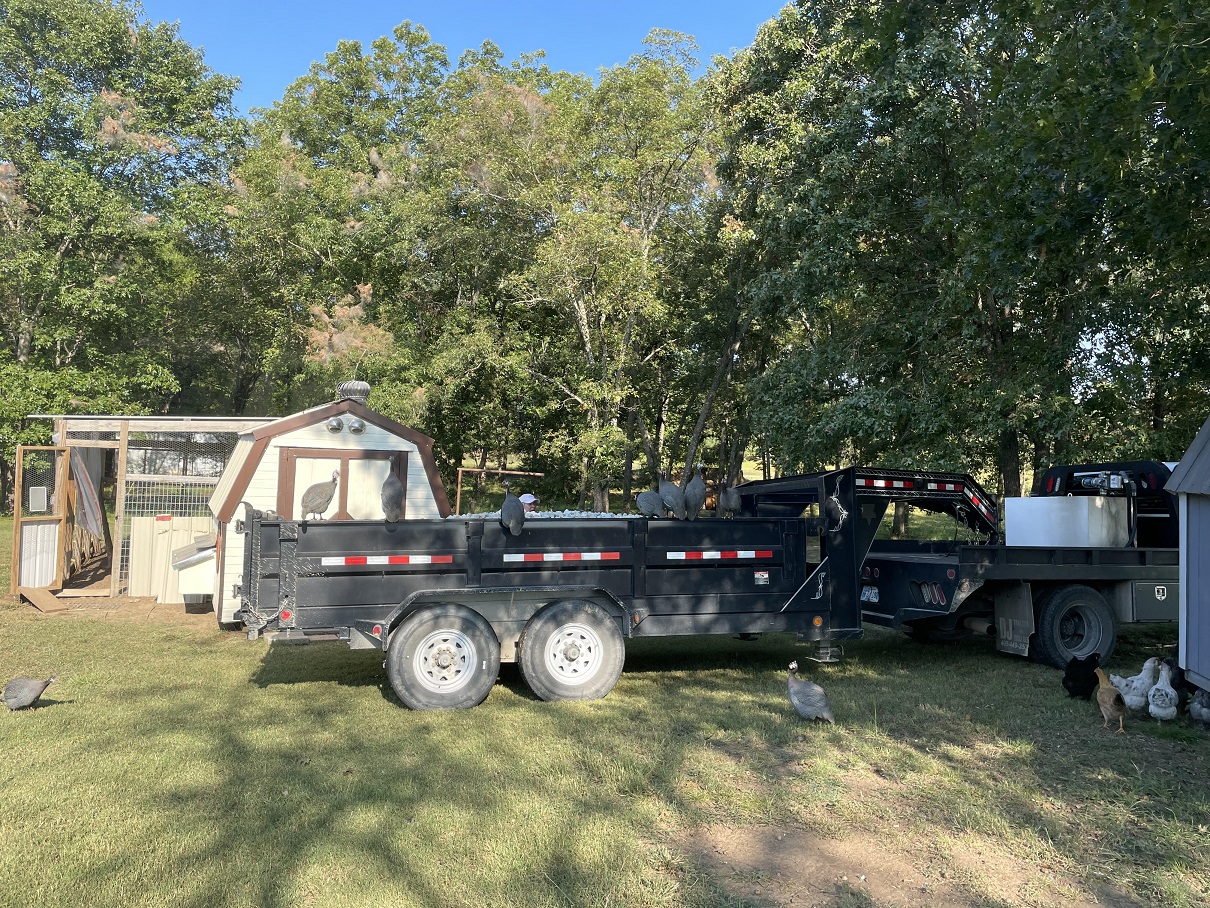 Another load of gravel.jpg