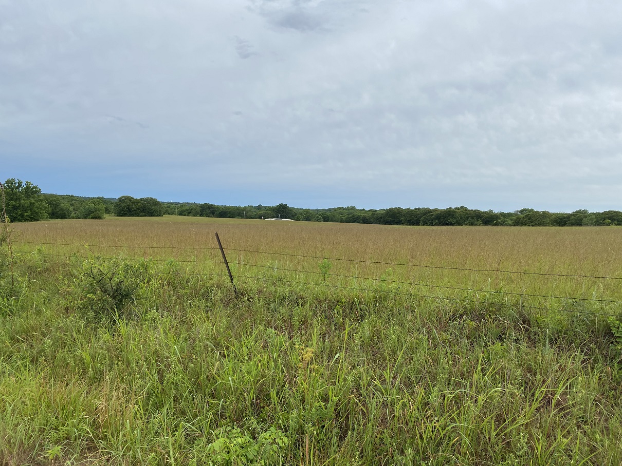 27 view across the neighbors hay field comp.jpg