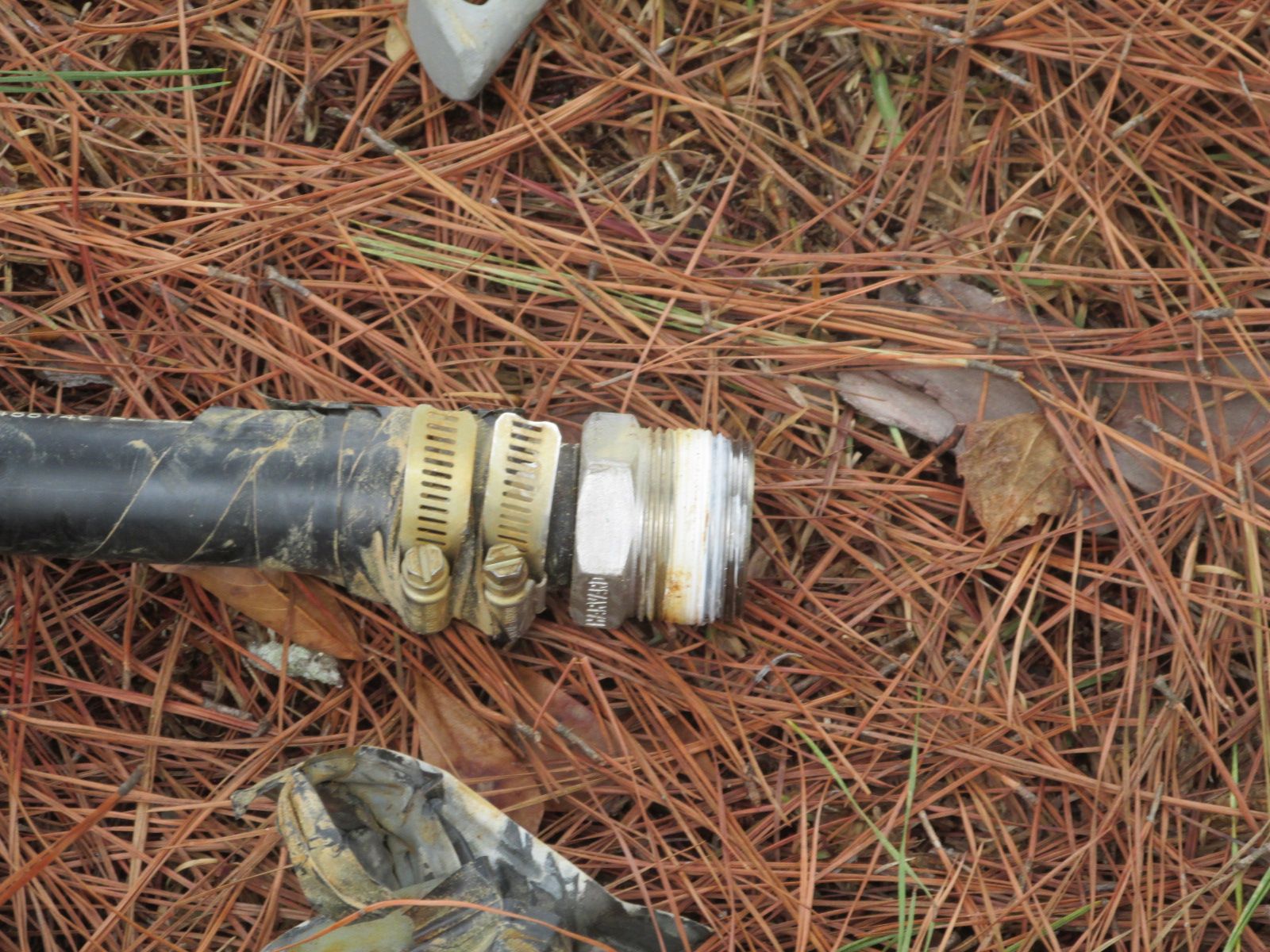 260205 004 removed 001a2.jpg