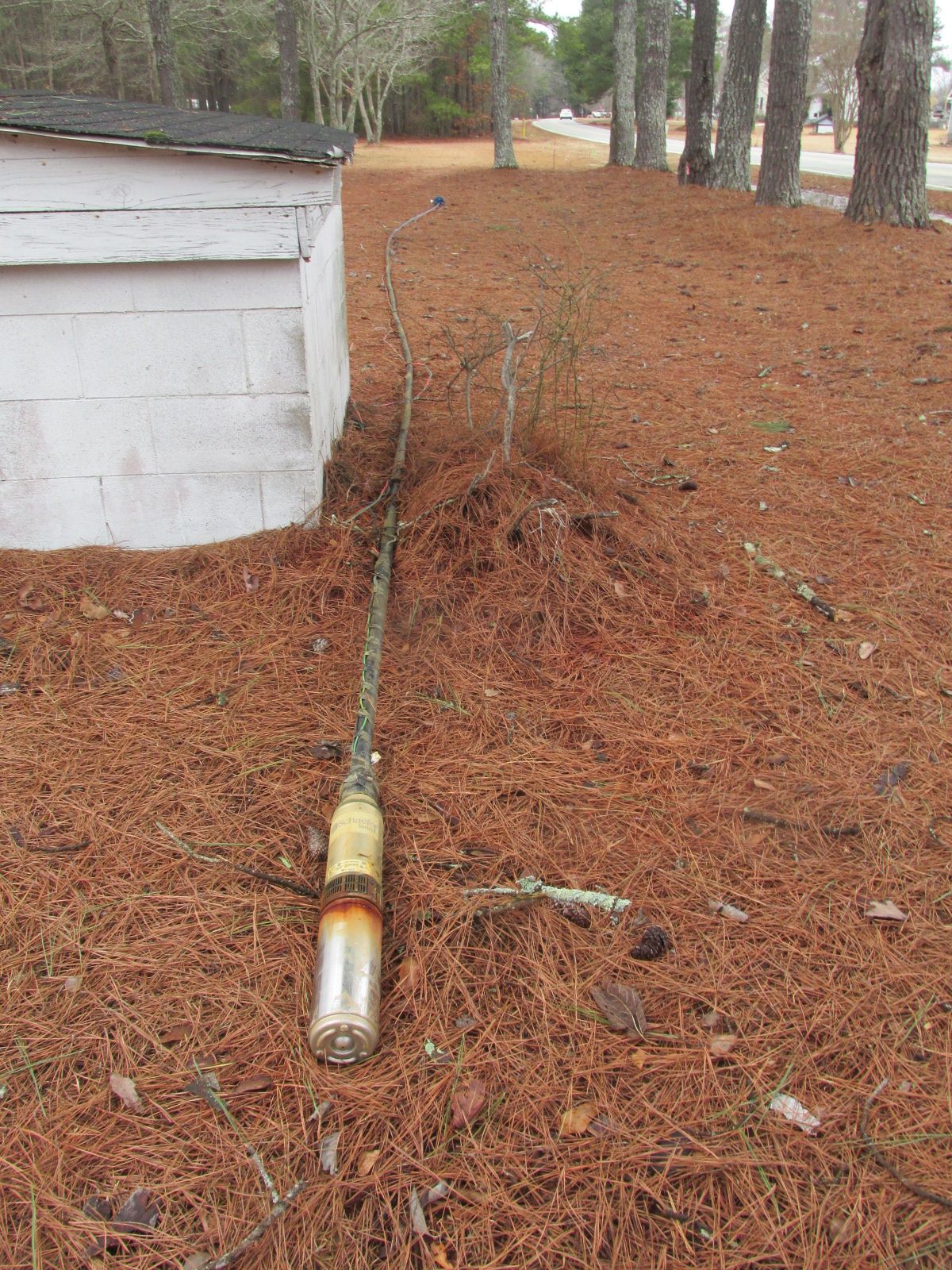 260205 002 removed 001.jpg