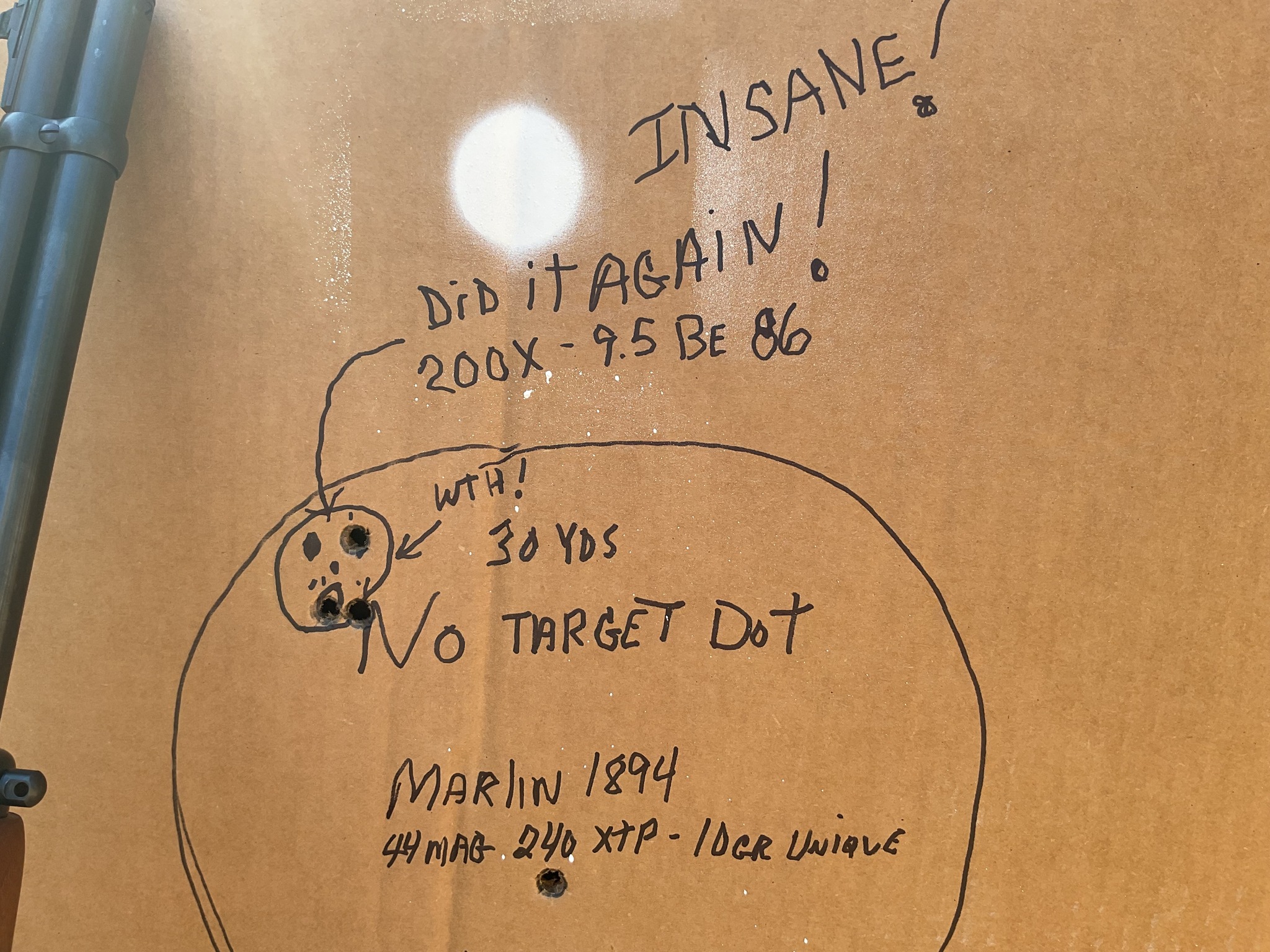 did it again just wild aim.jpg